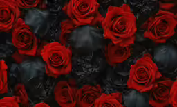 some red roses that are placed next to each other