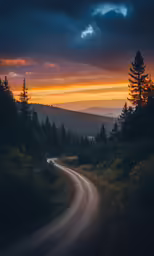 an empty dirt road near some pine trees and mountains