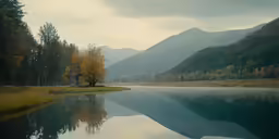 a mountain lake with lots of water and a few trees