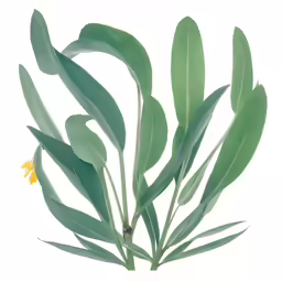 a close up of green leaves and yellow flowers
