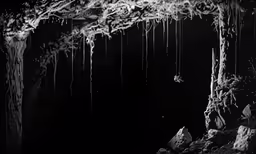 a cave that has an image of snow coming down from it