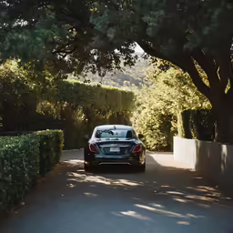 black car on street between hedges and trees