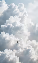 a plane that is flying in the clouds