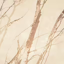 a couple of trees sitting next to each other
