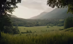 a pasture is shown during the day in the woods