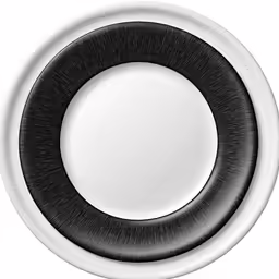 a black and white circular shaped object