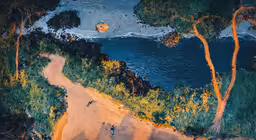 an overhead view of some trees and the water