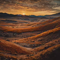 a field is seen at sunset with yellow and red foliage,an image of a scenic view with the sun in the distance
