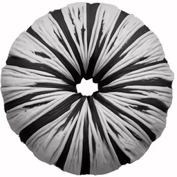 a black and white image of a circular cushion