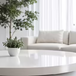 a close up of a coffee table with a plant on top