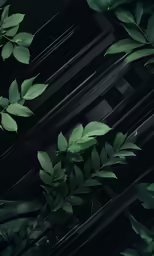 green leaves growing on the wall and dark black background