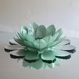 an image of a green succulent flower in the reflection