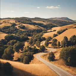 a view of a winding road through some grass