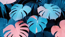 two large green leaves are next to pink ones