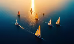a large group of sail boats are in the ocean