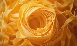 a beautiful yellow rose is being taken from the top