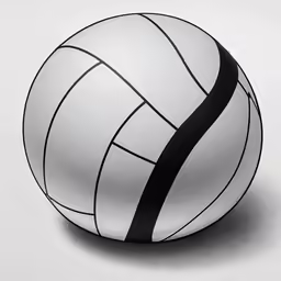 a white ball with black lines on the surface
