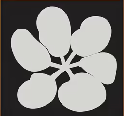 a black and white square with five circles around it