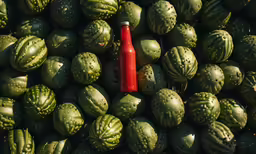 a red bottle sits between some green and yellow watermelon