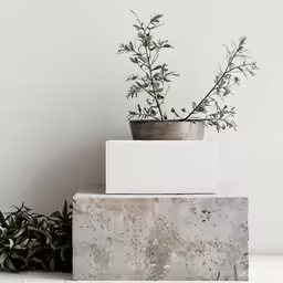 a potted plant sitting on top of a cement block