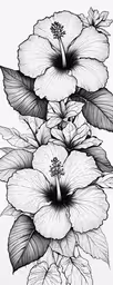 flowers with leaves on a white background,two flower on top of each other with leaves