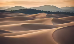 the dunes and hills in an area with no vegetation