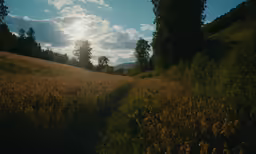 sun shines through clouds over the trees and fields