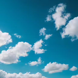 a person flying a kite on top of a field