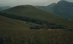 an old fashioned landscape is shown with mountains and grass